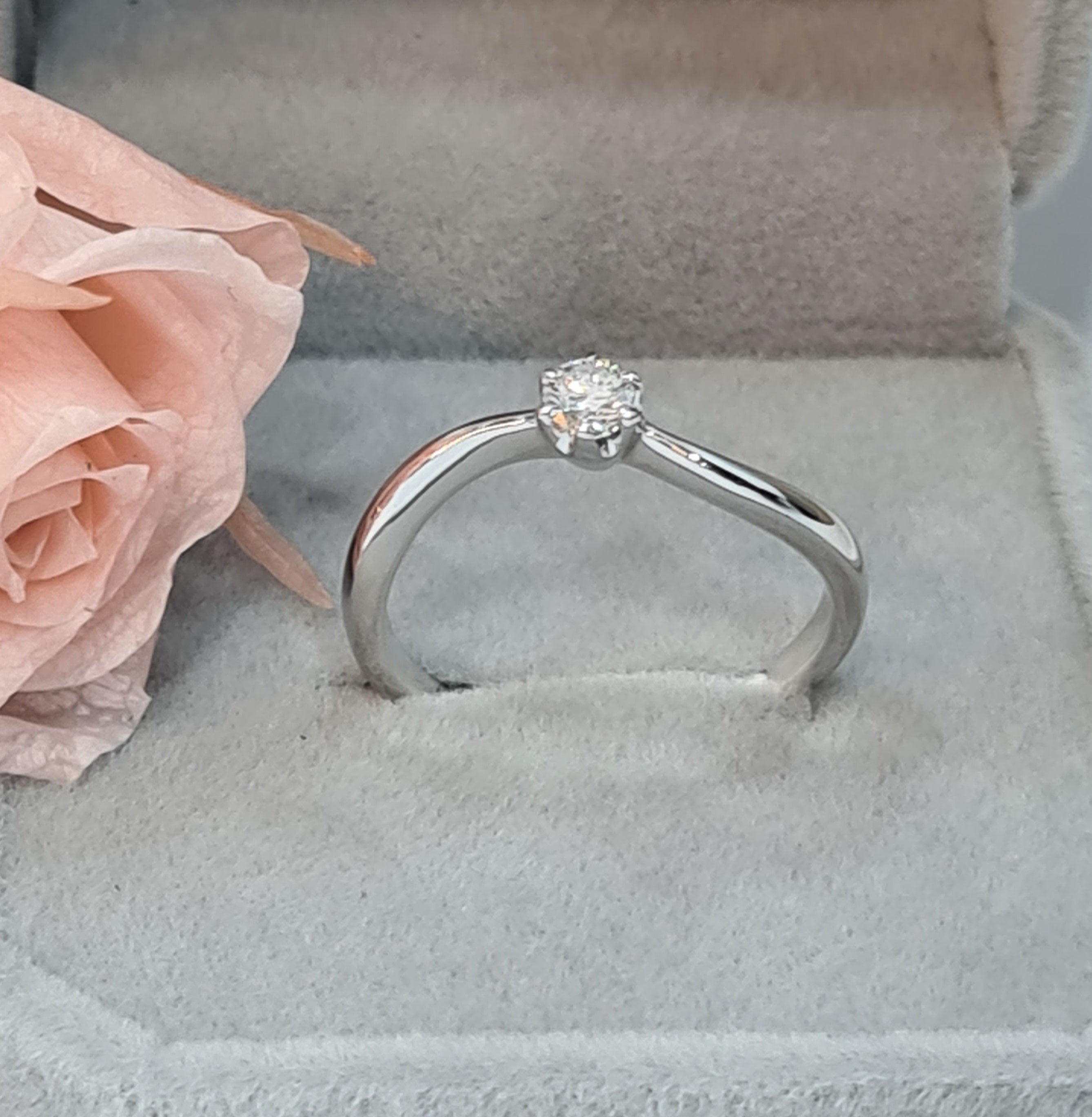 Shank Six Prongs Engagement Ring